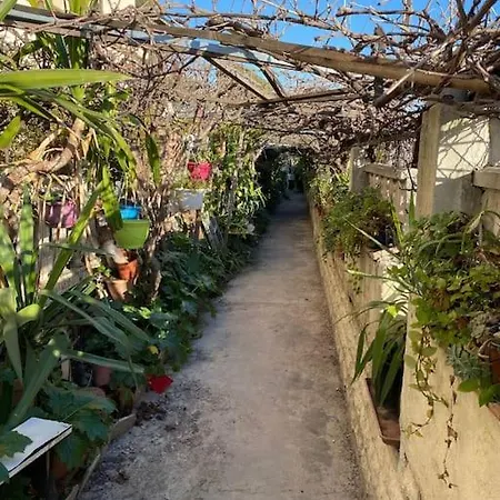 Rivage Bord De * Cannes